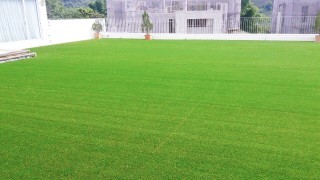Artifical Grass